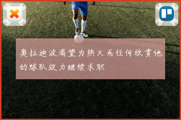 奥拉迪波渴望为热火或任何欣赏他的球队效力继续求职